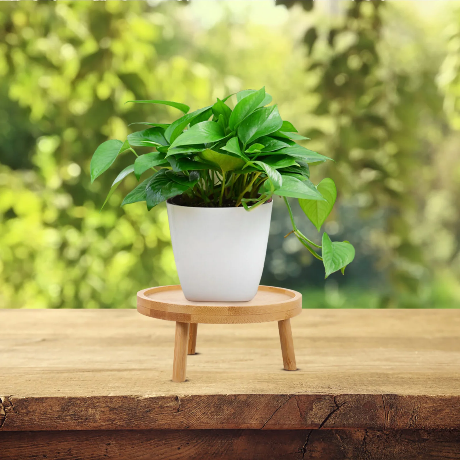 Holder Stand Pot Flower Wood Wooden Stool Rack Outdoor Indoor Display Smallflowerpot Gardening Table Shelf Potted Windowsill 6