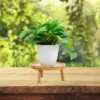 Holder Stand Pot Flower Wood Wooden Stool Rack Outdoor Indoor Display Smallflowerpot Gardening Table Shelf Potted Windowsill 6
