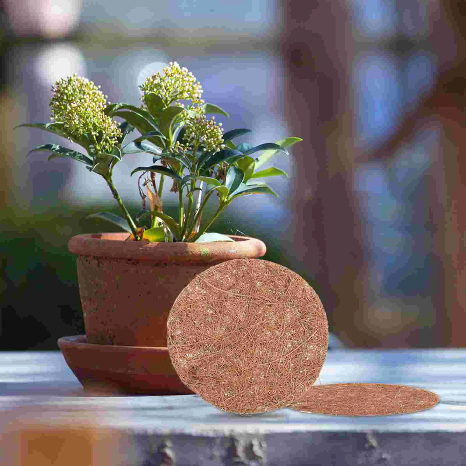 

12 Pcs Potted Plant Coconut Palm Mat Pots for Plants Basket Liner Fiber Practical Replacement