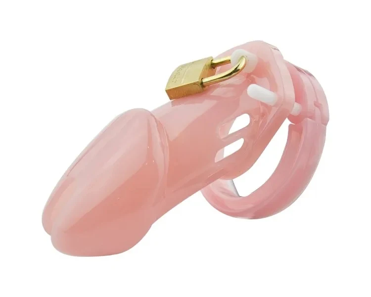 Small/Standard Male Chastity Device Cock Cage With 5 Size Rings Brass Lock Locking Number Tags Sex Toys for Men Couples Adults