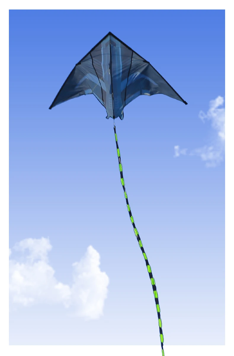 Durable Delta Kite in Action