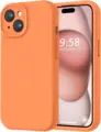 Bright Orange