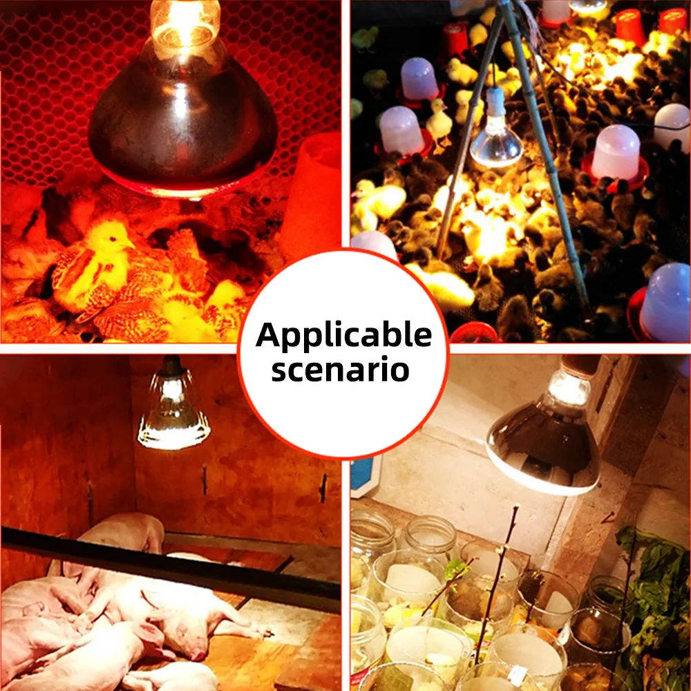 Pet Heating Lamp 220V Poultry Heat Lamp Bulb Infrared Ray Thermal Preservation for Reptile Botany Amphibian Pet Livestock