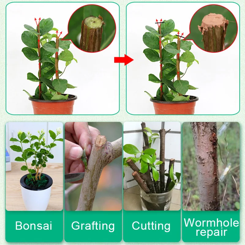 Bonsai Pruning Cutting Paste Compound Tree Sealer Grafting Sealant For Garden Wound Treatment Accessories Portable 50g Compound tree wound sealer