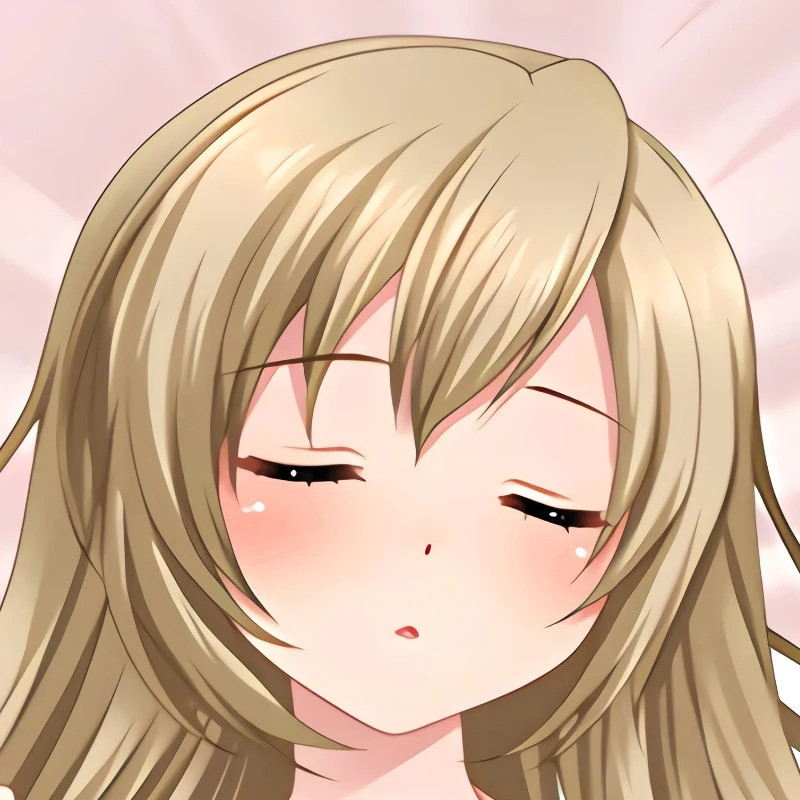 

DIY Personalized Anime Minami Hruka Dakimakura Pillowcase Hugging Body Bedding Pillow Cover Case Double-sided Print