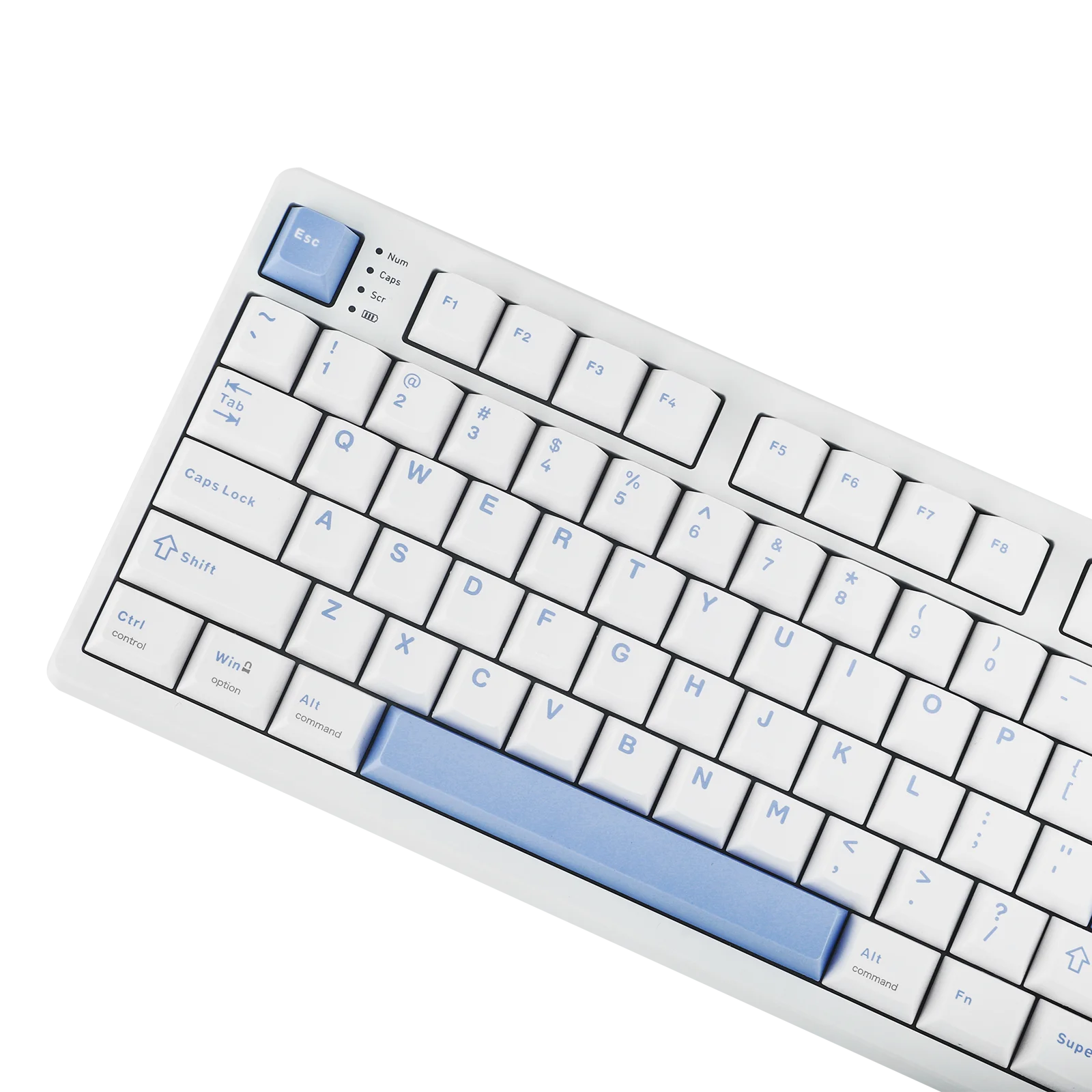S85843347611f4aa897f6aa14588fc35fl.png