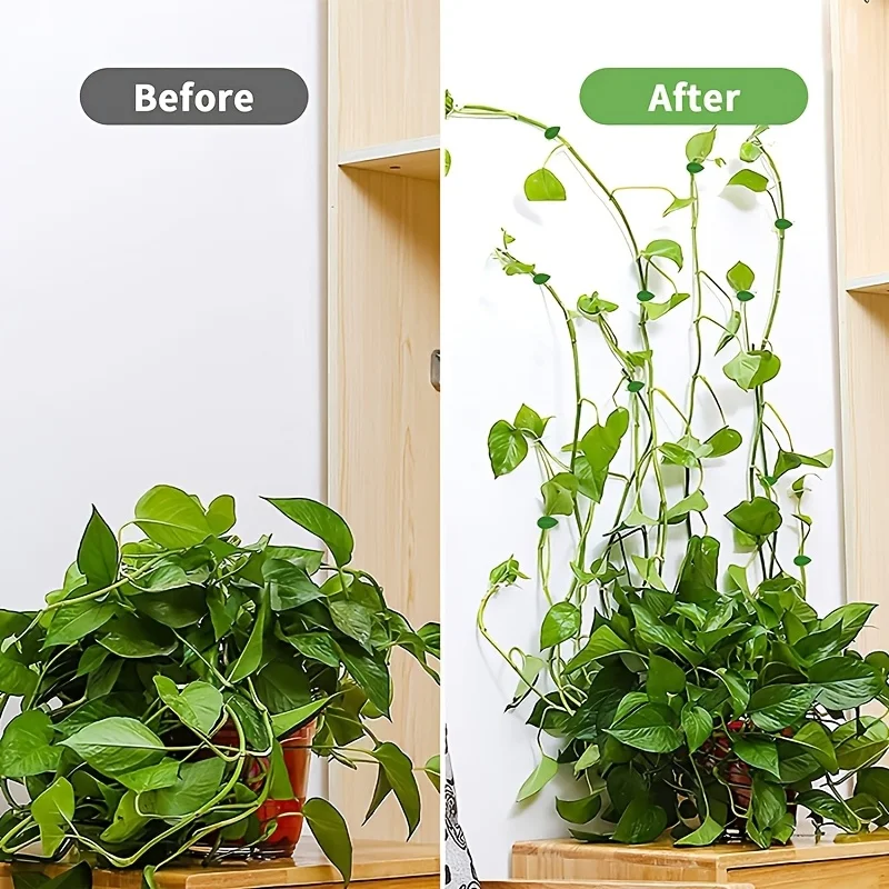 Garden Ivy Wall Climbing Tools Indoor Plant Self-Adhesive Hooks Wall Hanging Storage Fixers plant adhesive hooks