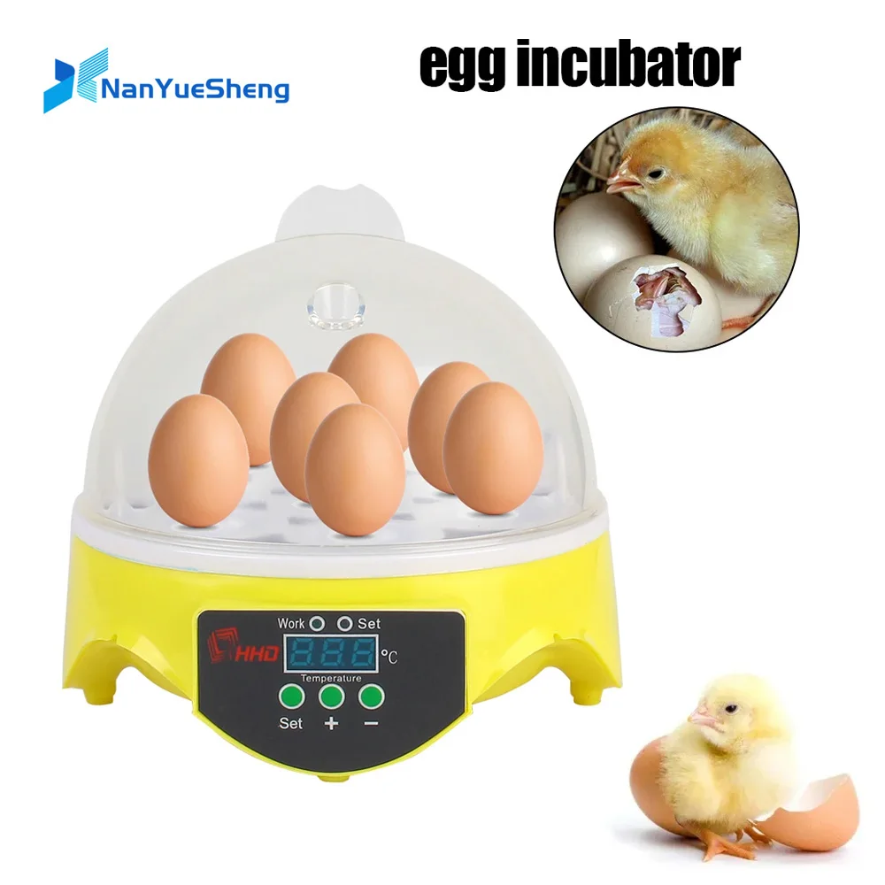 Couveuse Automatique Incubateur 16 Oeufs Entièrement Automatique