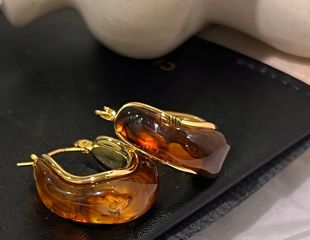 

Maillard Earrings Brown Niche Design Earrings Light Luxury Autumn and Winter