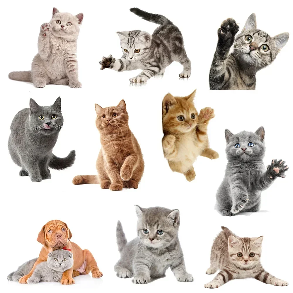 29*12cm Cute Kitten Bedroom Stickers Kawaii Real Shot Cat Toilet Stickers PVC Wall Refrigerator Home Decoration