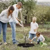 20pcs Non-Woven Tree Mulch Ring Reusable Tree Weed Barrier Mat Degradable Used inhibit Growth and Control Plant Root Protection 6