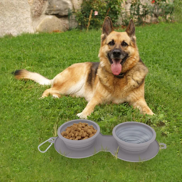 Portable Foldable Dog Bowl: Outdoor Travel Dog Food & Water Bowl, Lightweight Pet Feeding Dish, 2