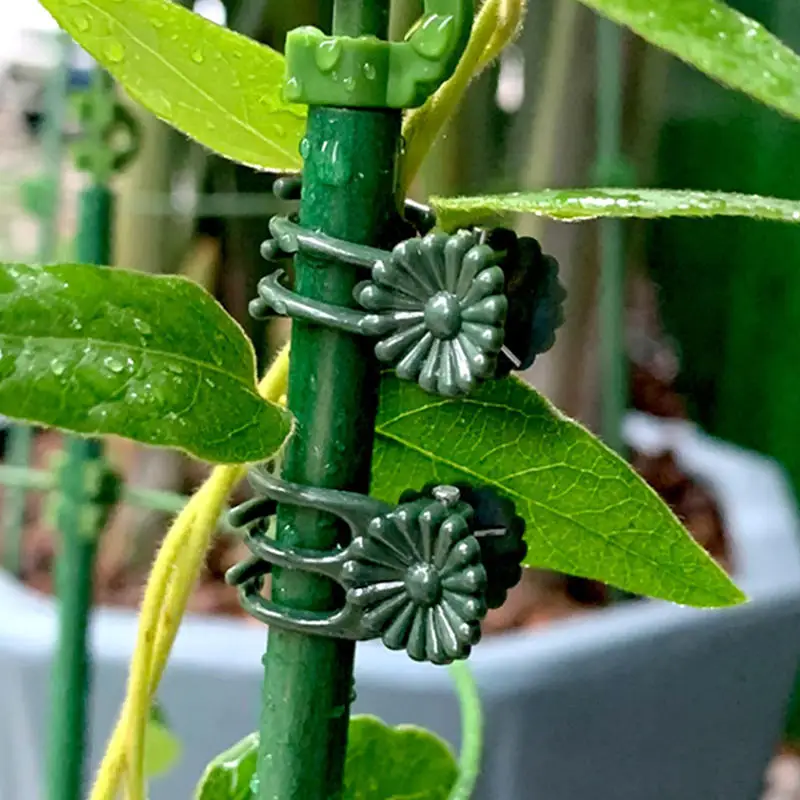 Garden Plant Clips Butterfly Orchid Clips Plant Support Stem Clamps Garden Flower Vine Plant Support Garden Tools