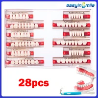 16/12 Sets/ Box Dental Denture Teeth Upper Anterior Lower Posterior Teeth acrylic A2 A3 2 layers Dental Education Model 1