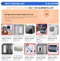 Chauffe-eau électrique 24V/220V double alimentation, 15L, haute qualité, petit prix, pour camping-car et réservoir de camping, Calentador De Agua Electrico 6