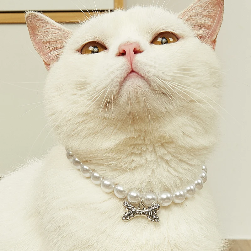 Collana Regolabile Di Perle Per Animali Domestici Accessori Per Gatti Gotas Animali Moda Strass Sphynx Collare Per Gatti Gattino Cane Collier Chat
