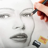 Drawing Pencils Sketch Pencil Professional Sketching Art Graphite Charcoal Blending Stump Pencils kit (25 art supplies) 5