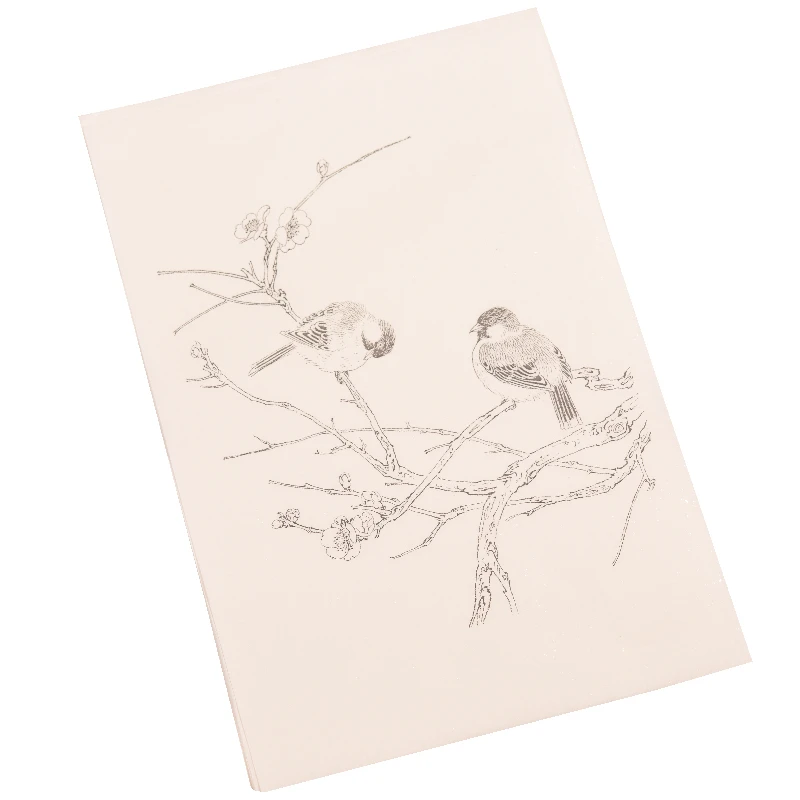 

Traditional Plum Orchid Bamboo Chrysanthemum Copy Picture Album Paper Meticulous Painting Line Drawing Manuscript Painting Paper