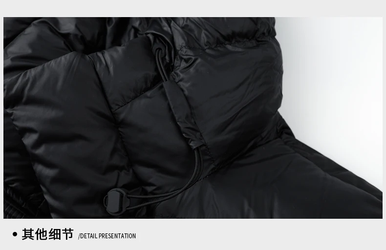 Ture Goose Down Parka men's fashion