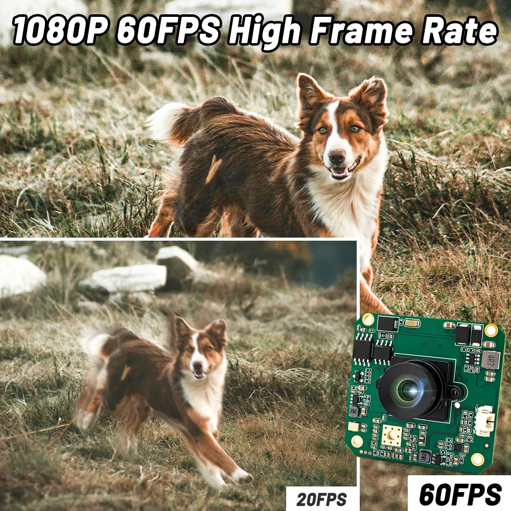 1080P 60FPS IP Camera Module 1/2.8" IMX307 CMOS With No Distortion Lens Support