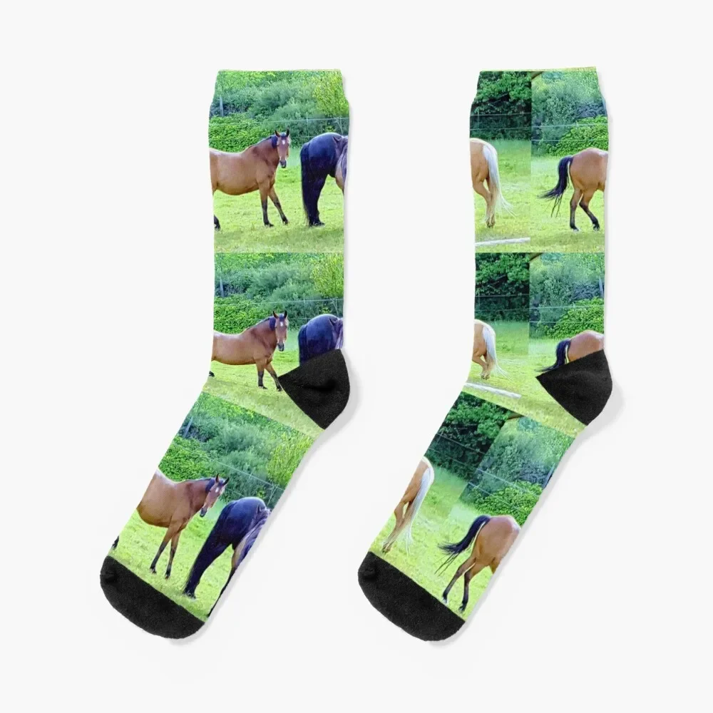 

Horses on wonderful Whidbey Socks funny gifts cotton Girl'S Socks Men's