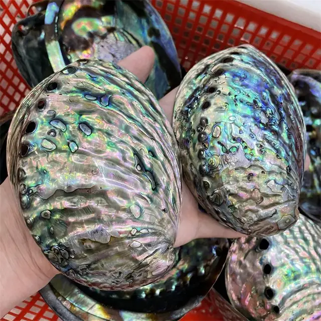 Kiváló Minőségű Kagyló, Mint Karácsonyi Díszek Ajándéka A Gyerekeknek Vagy Az Otthoni Szoba Reiki Dekoráció 1Db - Image 3