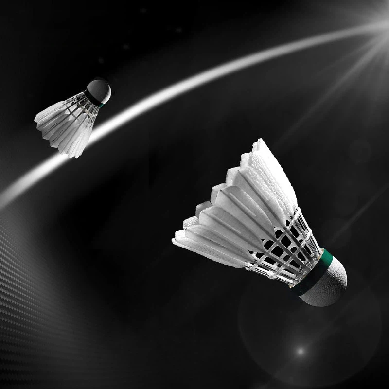VICTOR12 Pcs/tube Shuttlecocks NCS Pro Carbon Sound Artificial Badminton Flight Stable Durable Game Ball Endurance_voghion.com