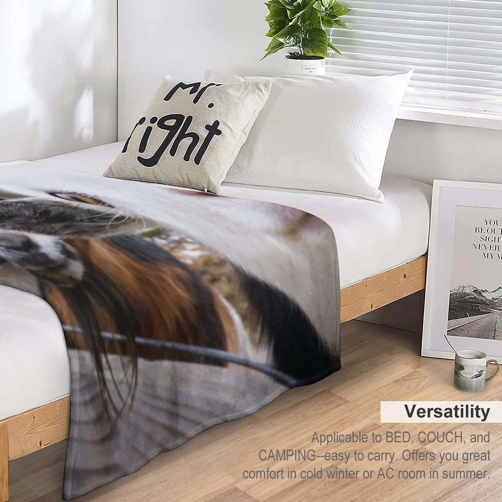 ���� ������ ���, ���� ħ�� ���, ǫ���� ���, ���� ���� ���, ������ ����