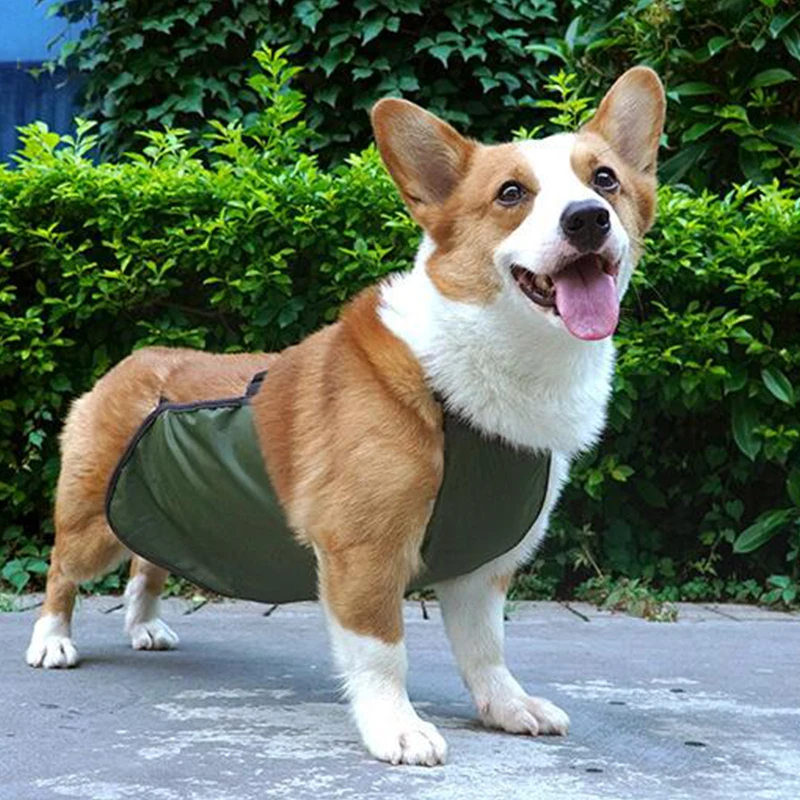 퍼그 코기 애완 동물 강아지 Bellyband 옷 방수 통기성 더러운 배꼽 커버 턱받이 포켓 개 의상 Corgi Bellyband 조끼