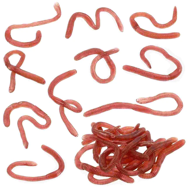Worms Fake Earthworms Toy Bugs Worm Earthworm Rubber Toys Plastic Roaches  Realistic Halloween Props Faux Model Baits Trick Prank - AliExpress