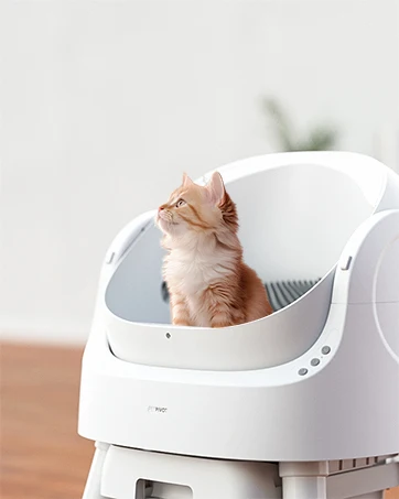 Self Cleaning Cat Litter Box