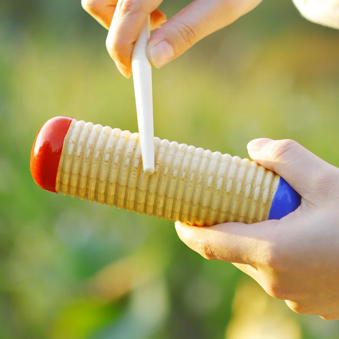 Orff red and blue sand cylinder scraping instrument preschool education teaching parent-child teaching aids fish frog