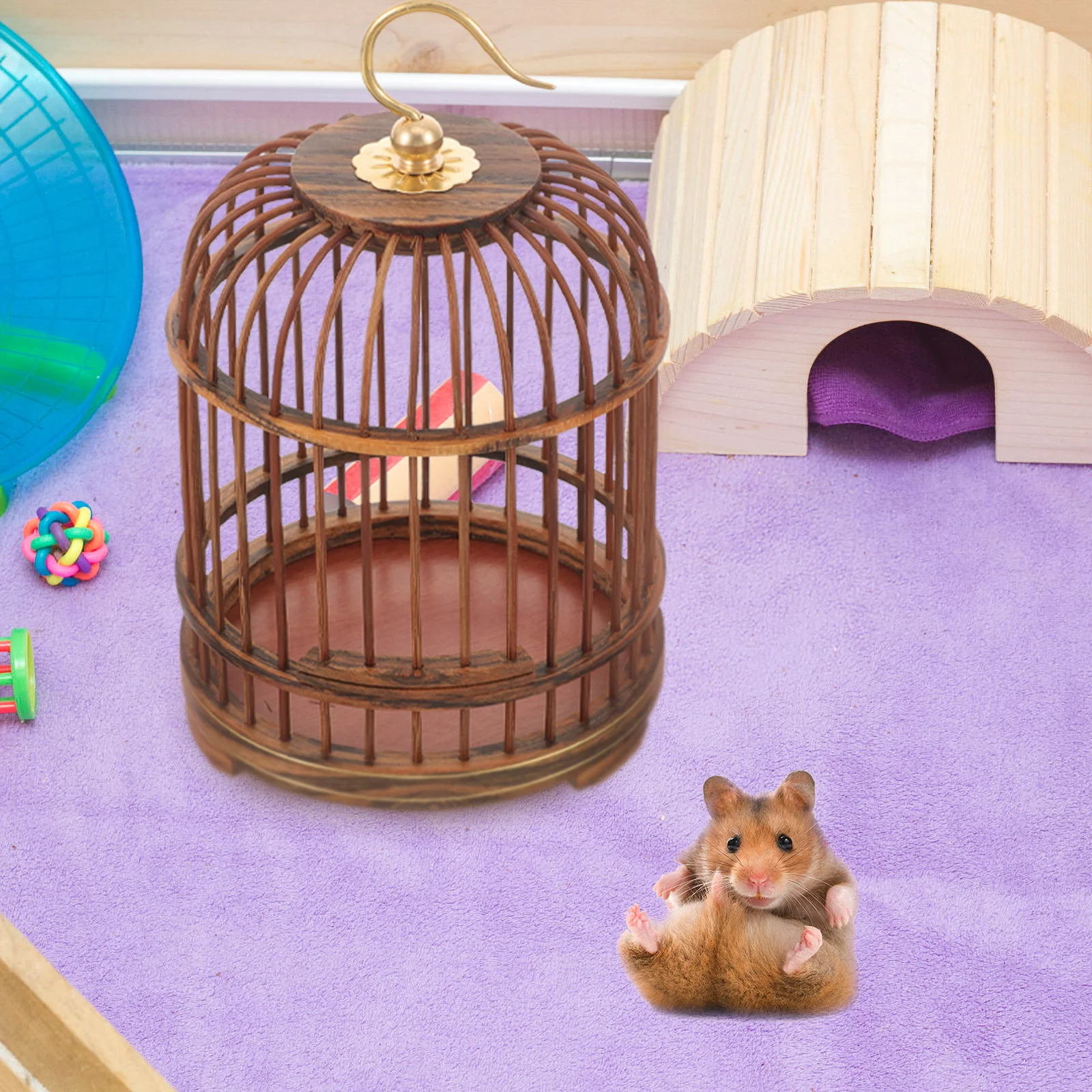

Hamster Cage Hanging Insect Cage Vintage Bird Cage Hanging Cage for Bird Insects Small Pets