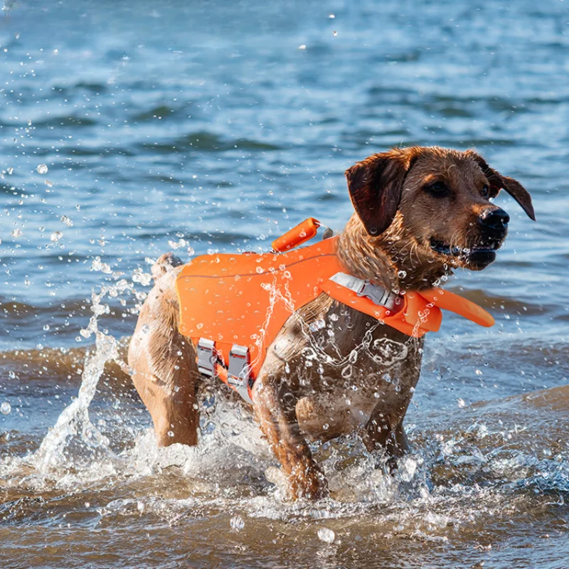 Dog Life Vest Waterproof Summer Safety Clothing Dog Swimming Life Jacket for Large Dogs