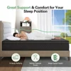 Queen Mattress,14 Inch Hybrid Mattress Black,Euro Top Mattress Medium Firm for Back & Lumbar Support,100 Night Trial, Individual 5