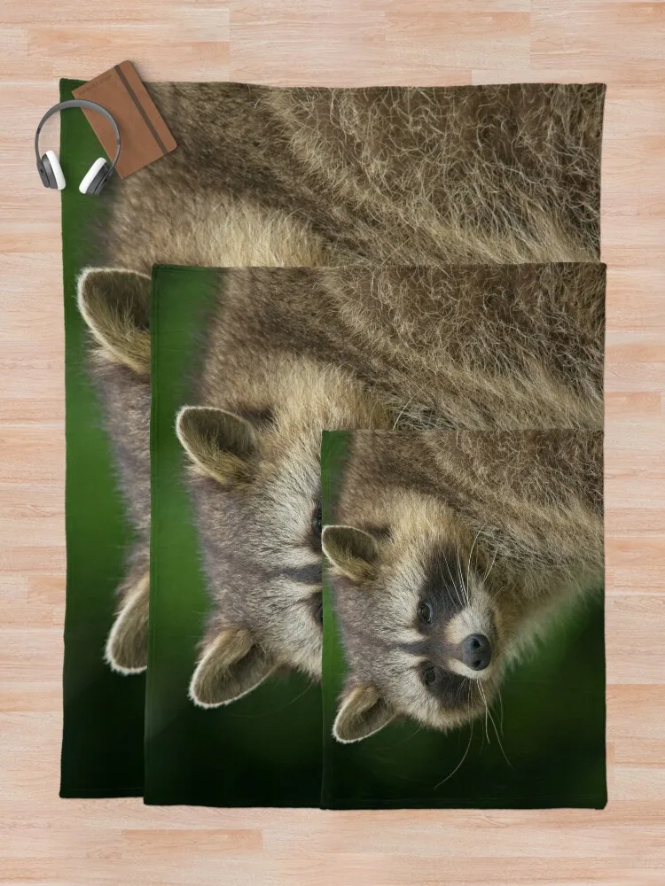 �ʱ��� ������ ���, ���� ���� ���, ��Ƽ�� ���, ǫ���ϰ� �ε巯�� ���