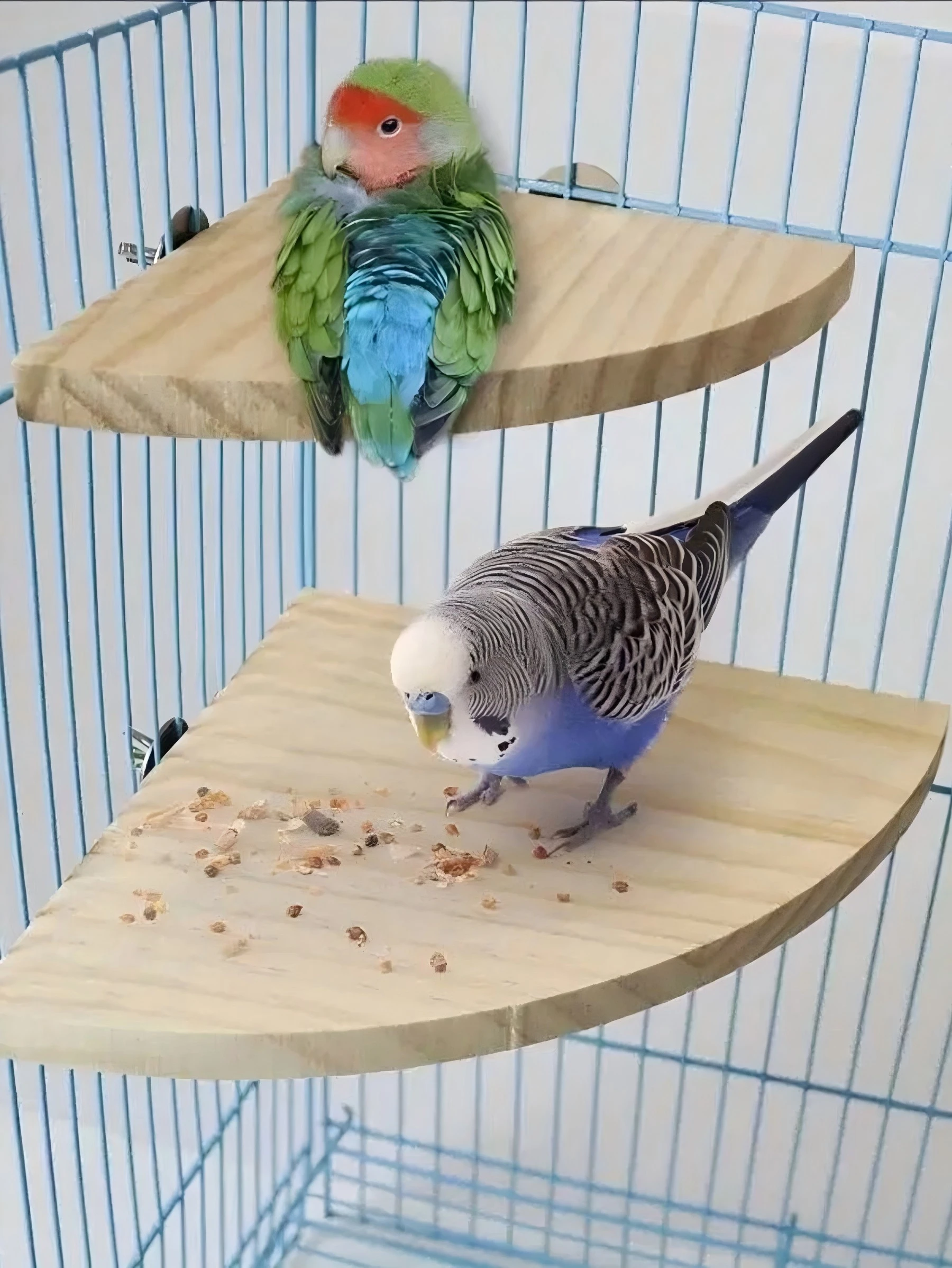 1PC Wooden Fan-shaped Bird Toy Hamster Jumping Board Resting Table for Parrots and Hamster Cage Accessories parrot toy bird toy bird cage accessories