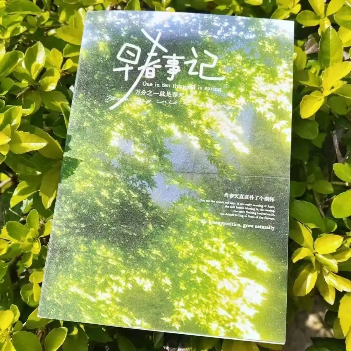 스티커 이른 봄 이벤트 풍경 스티커북 그린 인스 스타일 핸드 레저 학생 다이어..