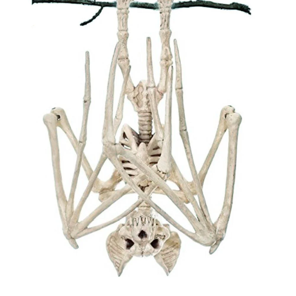 morcegos-de-horror-de-halloween-rato-escorpi-o-lagarto-bonez-modelo-de