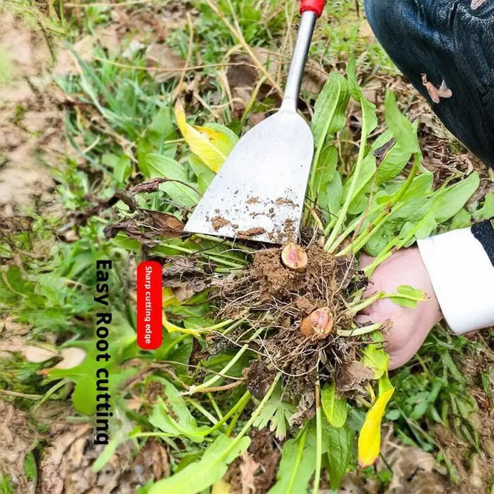 جديد الثوم حفر مجرفة الزراعية الفولاذ المقاوم للصدأ زهرة مجرفة البستنة إزالة الأعشاب الضارة حفر الأعشاب البرية 3-نقطة مجرفة حديقة أداة