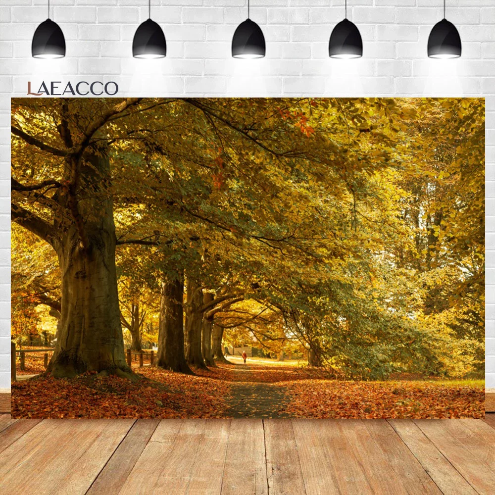 Laeacco   ǳ , ߻ ŷ,  , ܵ  ǳ,  ʻȭ  