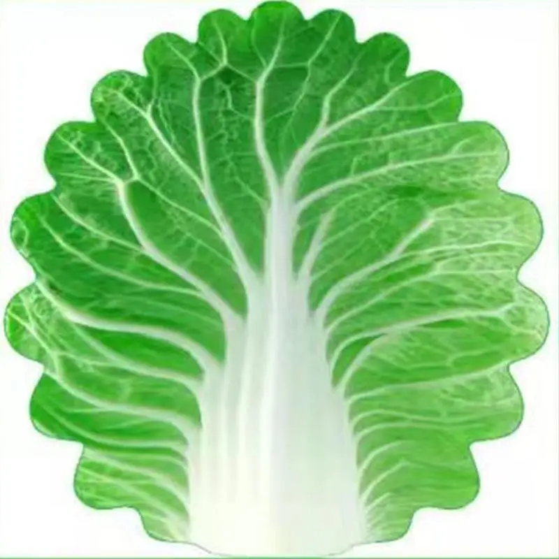 New Infant Blanket Imitation Cabbage Air Conditioning Cover Blanket Imitation Vegetable Children's Gift Creativity 85*85CM