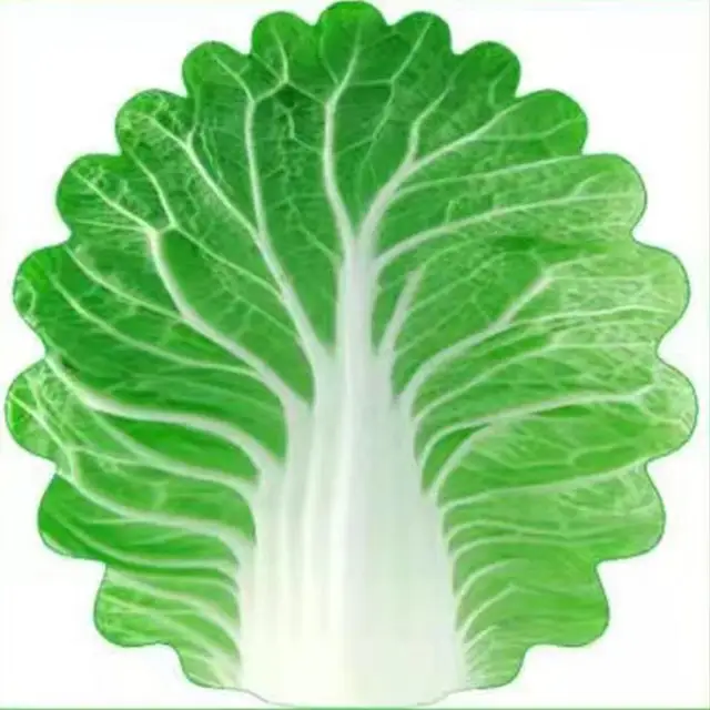 2024 New Infant Blanket Imitation Cabbage Air Conditioning Cover Blanket Imitation Vegetable Children's Gift Creativity 85*85CM 5