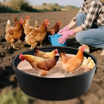 Bottomless Chicken Dust Bath Tub 1