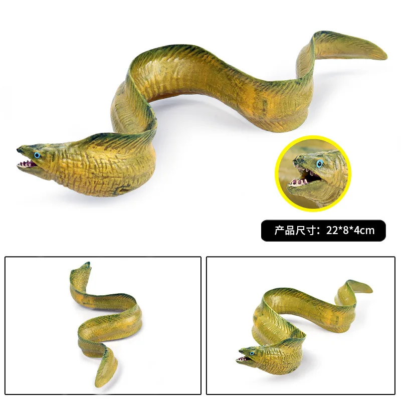 Electric Eel Model 800 Sales Discounts