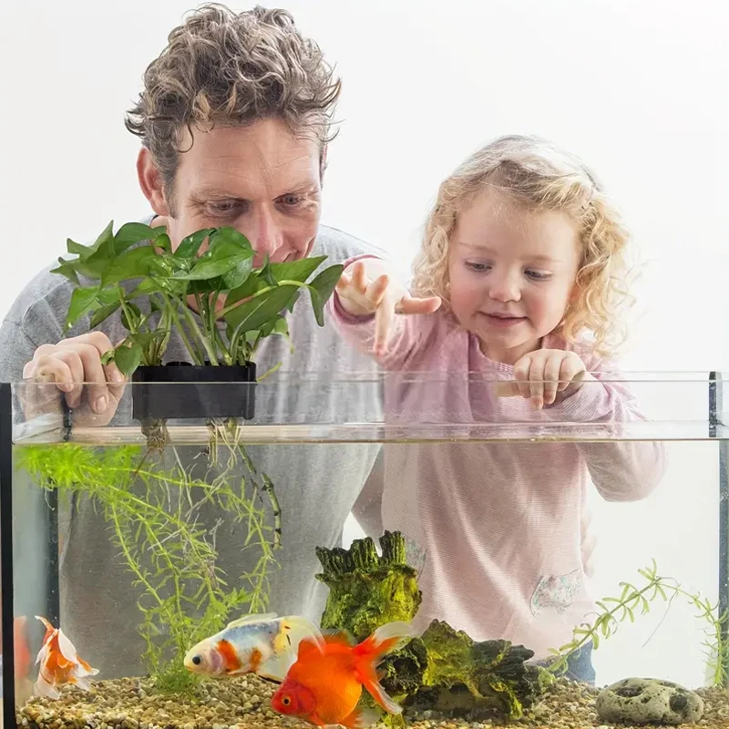 1pc Aquarium Hanging Aquatic Plant Holder Fish Tank Water Planting Plants Fixed Holder Planter Emersed Green Plant Pot With Hole aquarium hose holder aquarium plant tools rack