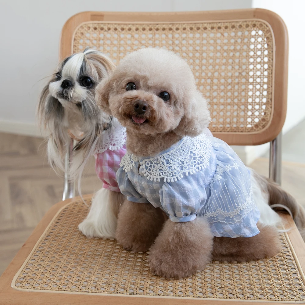 

Embroidered Collar Dress for Dogs, Plaid Skirt, Ladies Style, Preppy Style, Cat Clothing, Teddy, Chihuahua, Spring, Summer, New