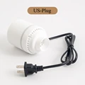 US-Plug