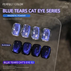 Perpect Color Blue Tears Cat Eye Collection: Unique Dreamy Blue with Magnetic Shimmer (LYLMY 02)