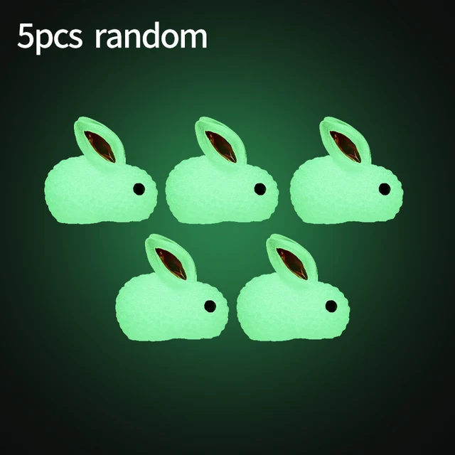 5PCS rabbit -M